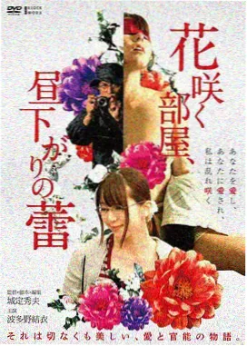 阿禾人物形象